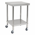Banco da Lavoro in Acciaio Inox 60x60 cm con Ruote e Doppio Ripiano, Portata Max 300 kg